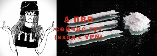 молекула духа Белоозёрский