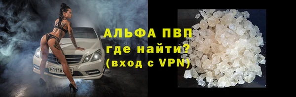 молекула духа Белоозёрский