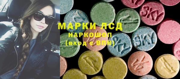 ПСИЛОЦИБИНОВЫЕ ГРИБЫ Тайга