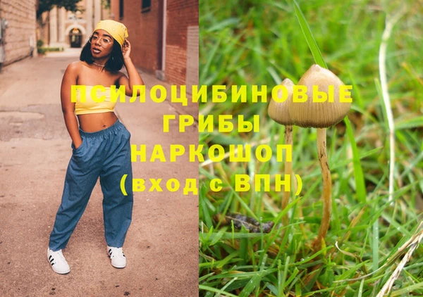 молекула духа Белоозёрский