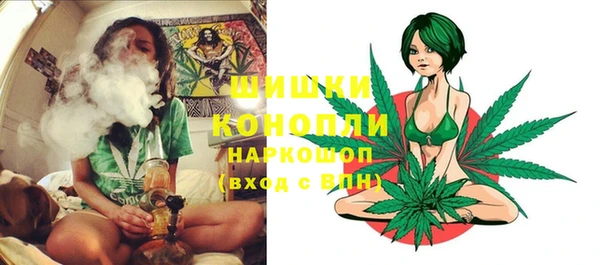 прущие крисы Белокуриха