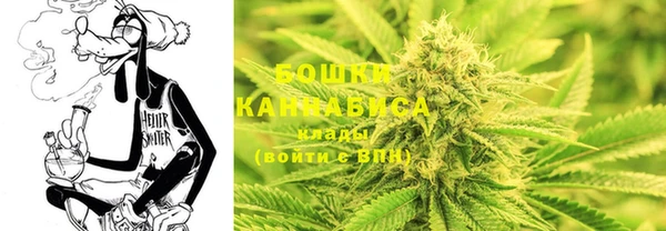 молекула духа Белоозёрский